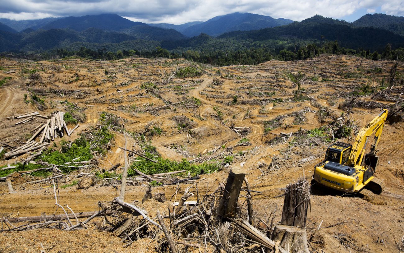 A deforested area in Sumatra