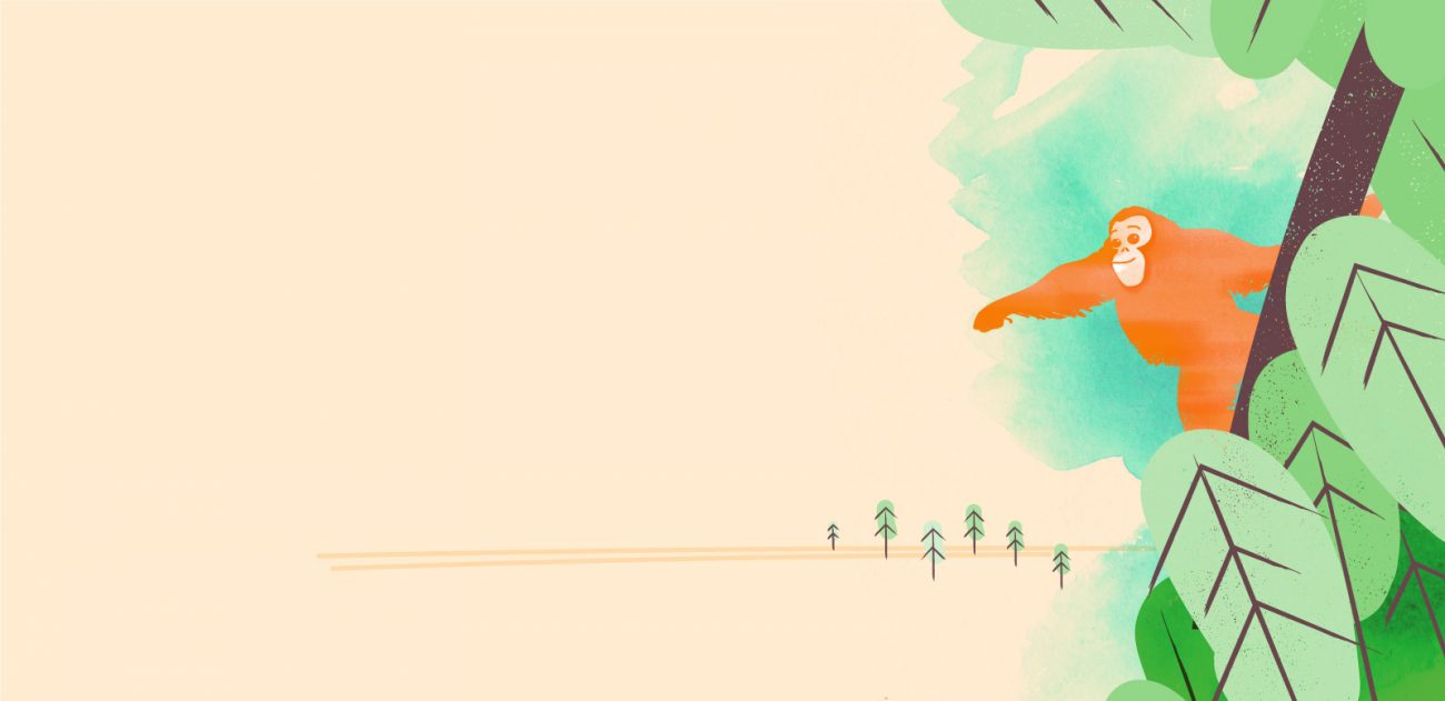 Protecting orangutans