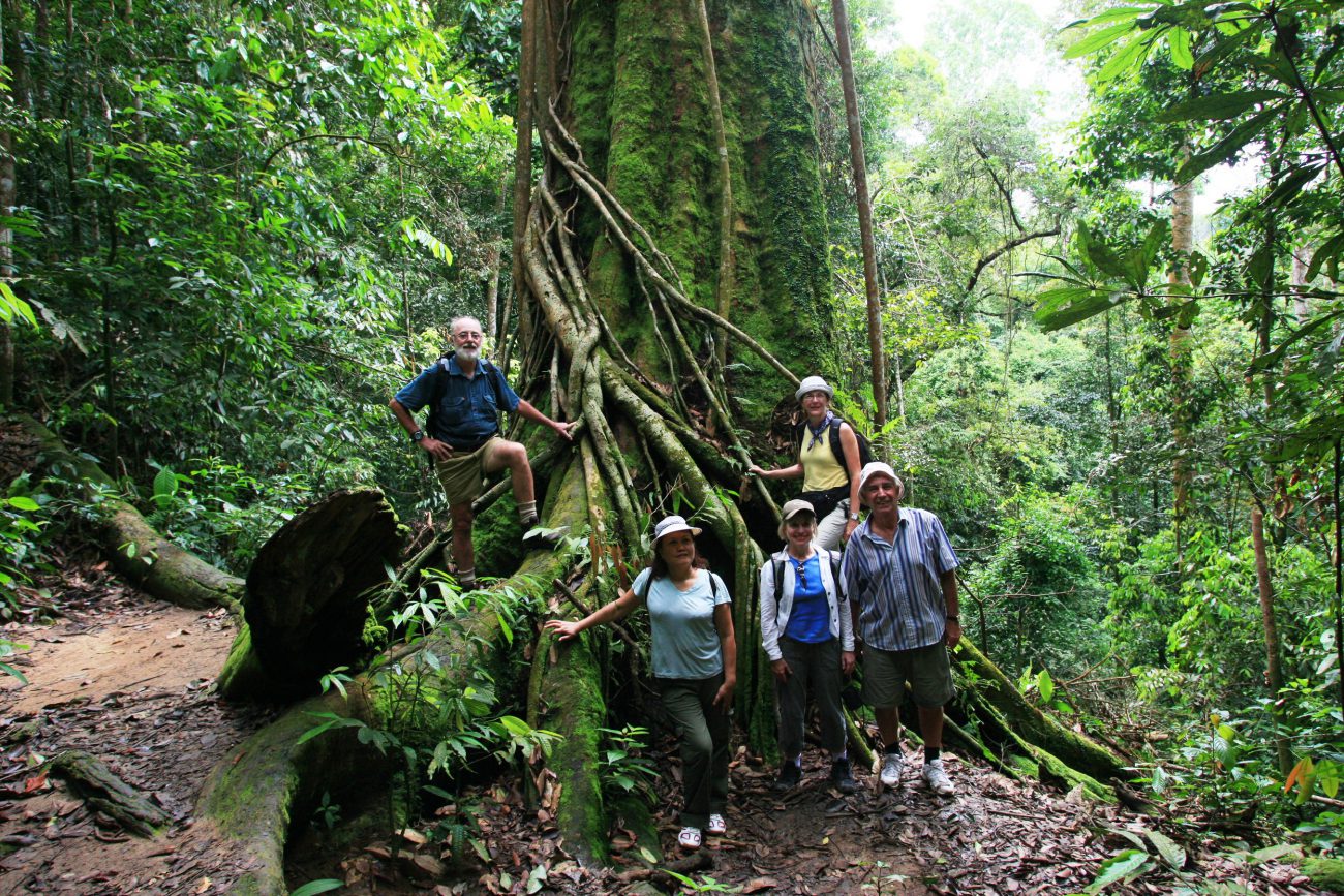 Sumatran jungle trek to help save orangutans