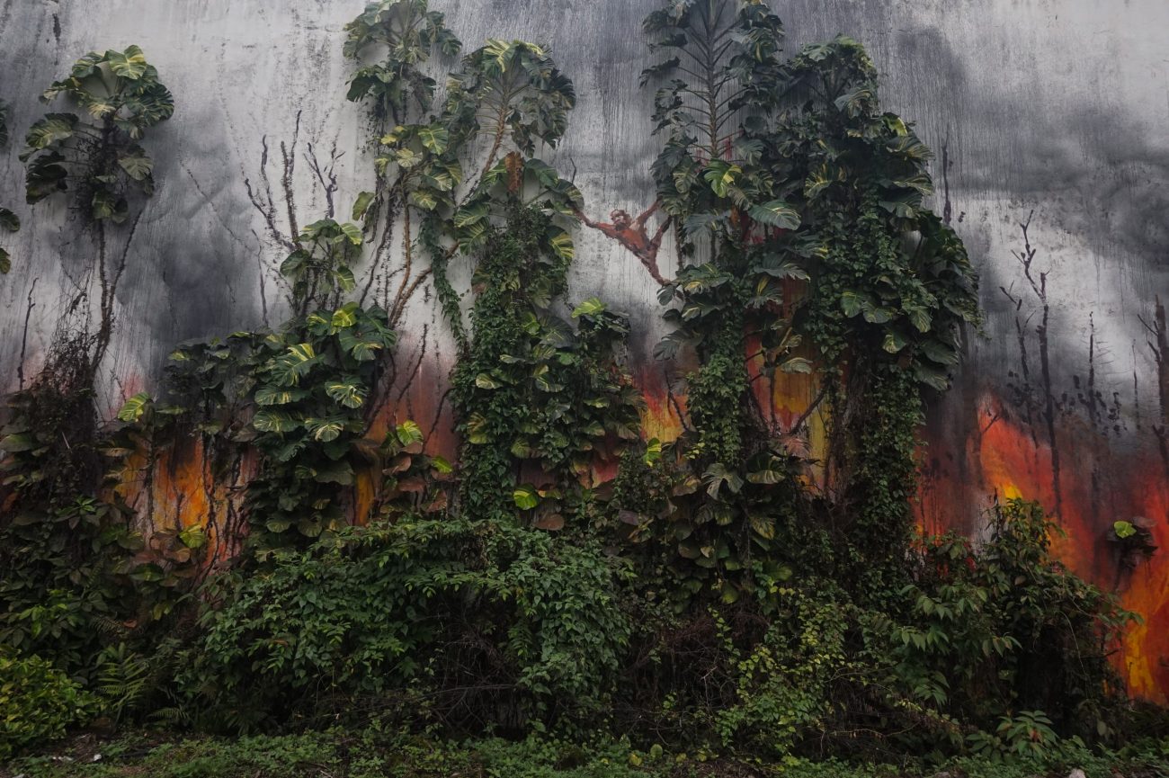 Splash and Burn art activism project by Ernest Zacharevic