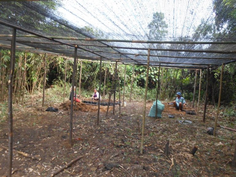 constructing a nursery for seedlings for forest restoration in Sumatra