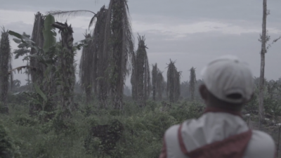 looking at ruined landscape - palm oil plantation in Sumatra