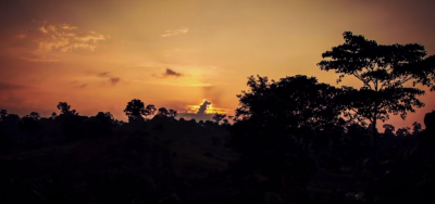 sunset in Sumatran rainforest