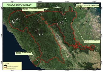 Reforestation sites in Gunubng Leuser National Park