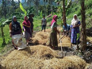 Housewives in Sumatra learning permaculture techniques for growing crops in their gardens