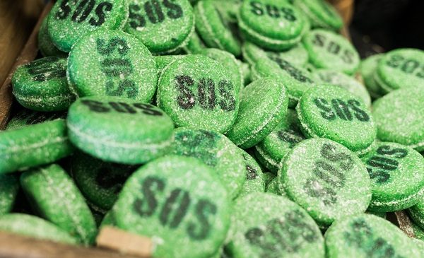 LUSH SOS shampoo bars
