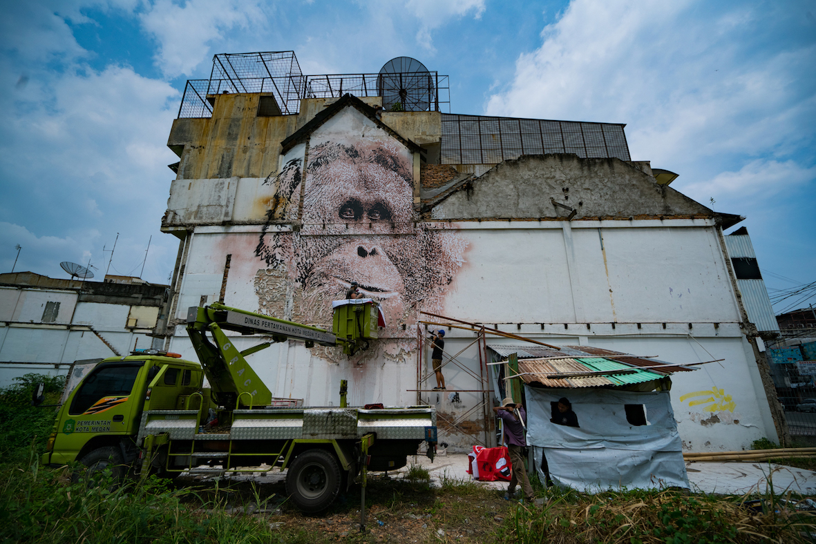 VHILS work in progress tapanuli orangutan medan