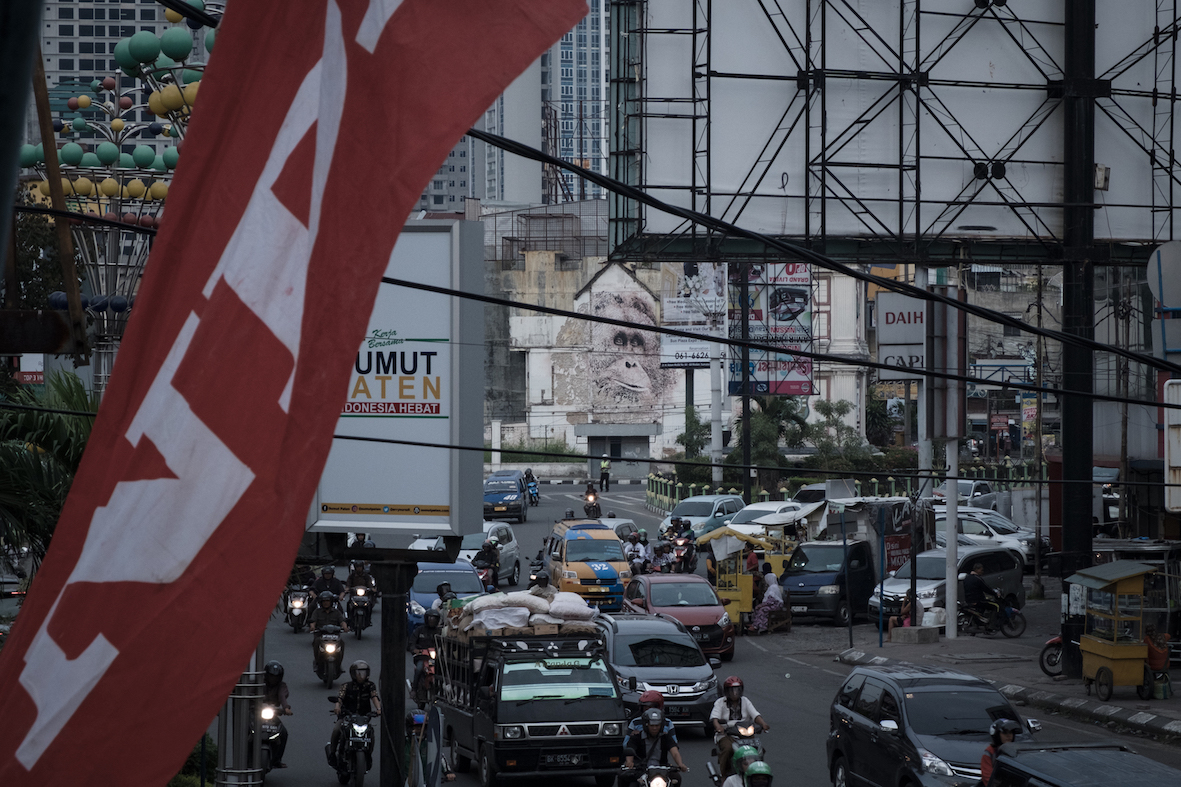 VHILS tapanuli orangutan long shot medan