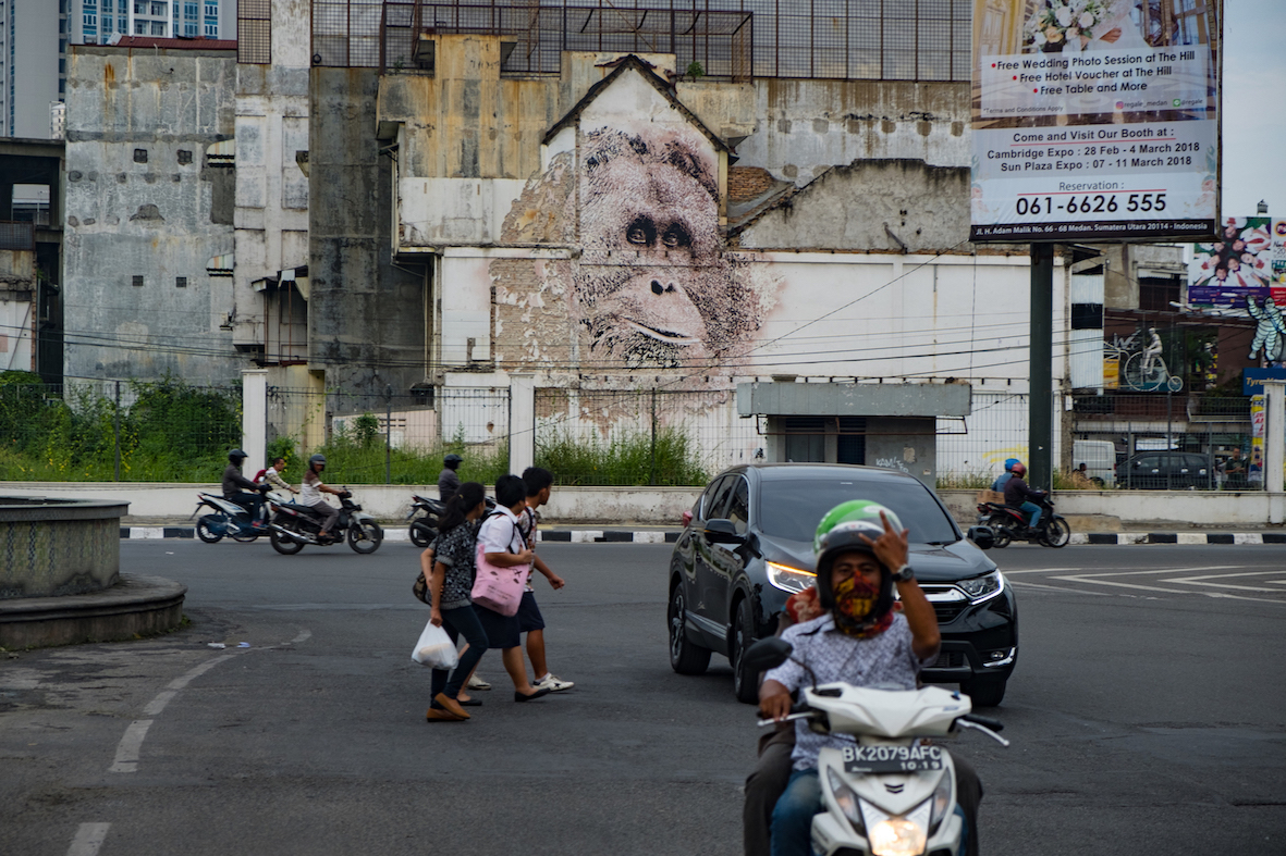 VHILS tapanuli orangutan medan motorbike