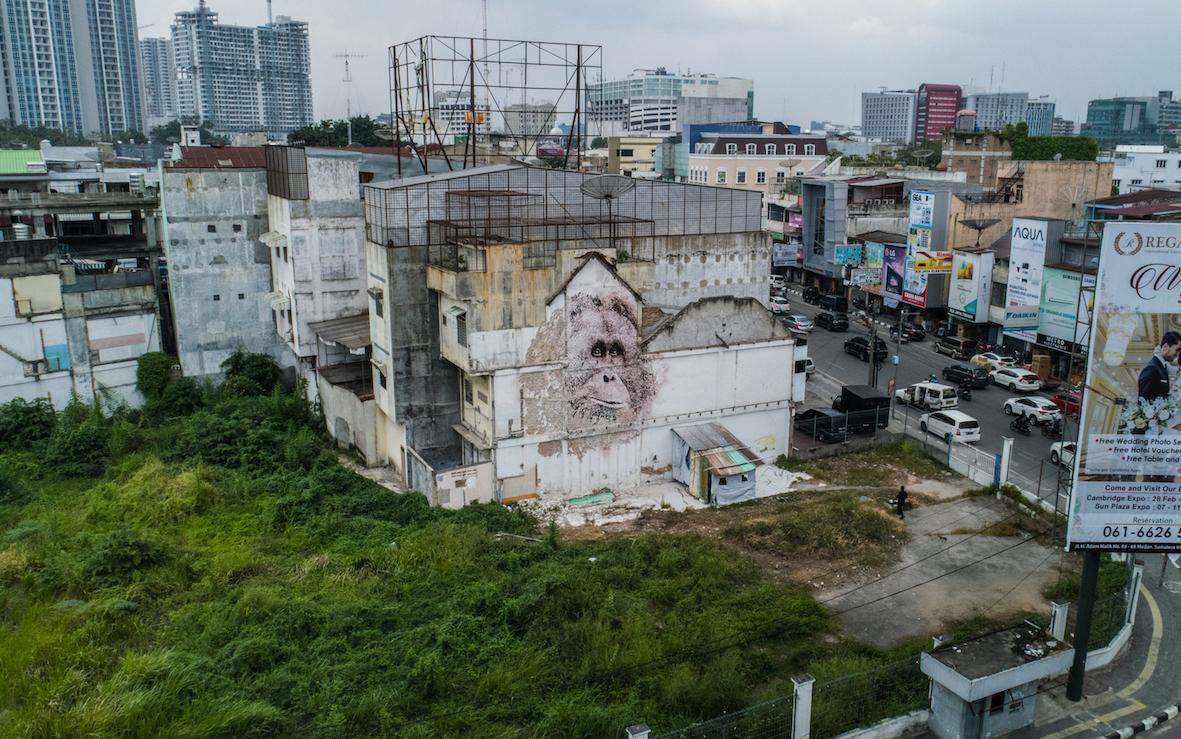 VHILS street art tapanuli orangutan medan