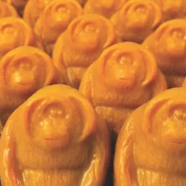 Rows of limited edition Lush orangutan soaps