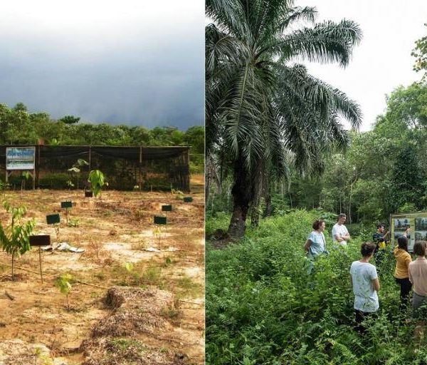 The difference 10 years can make