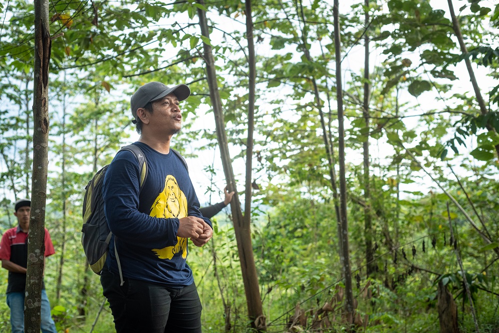 A man stands talking in a forest