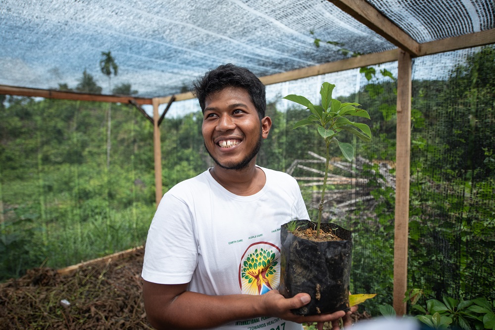 A man stands in a tree nursery holding a plant.