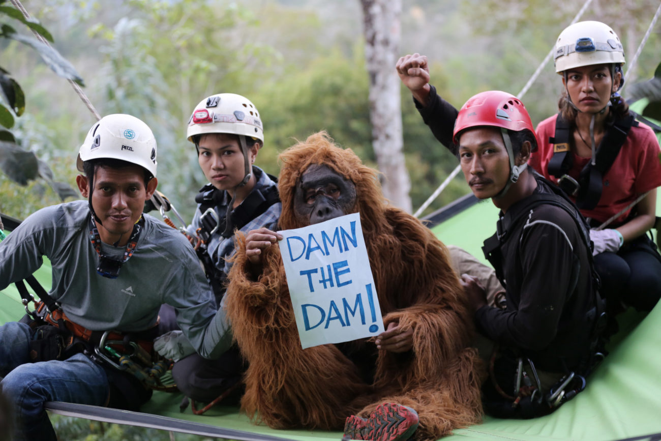 A group of people protest in a forest.