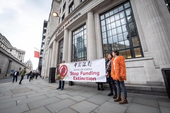 Three people stand on a street holding a protest banner which says 'Stop Funding Extinction'