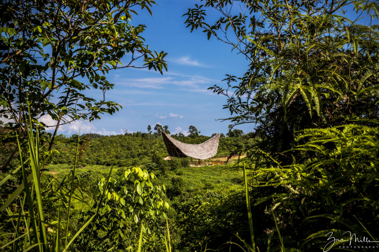 A school surrounded by trees.