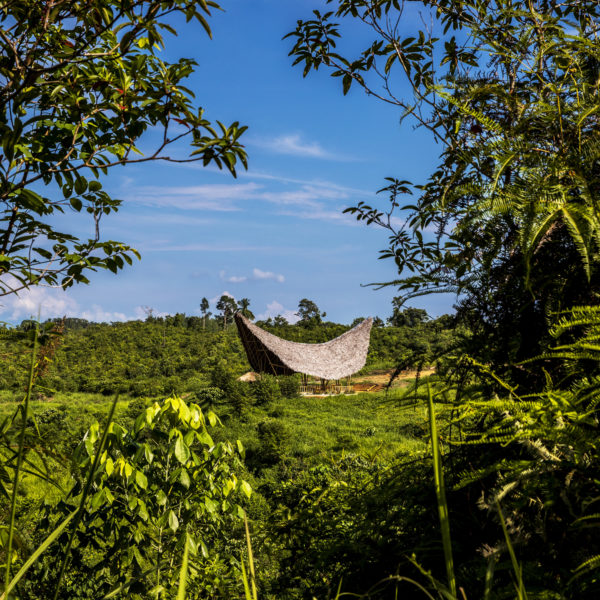 A school surrounded by trees.