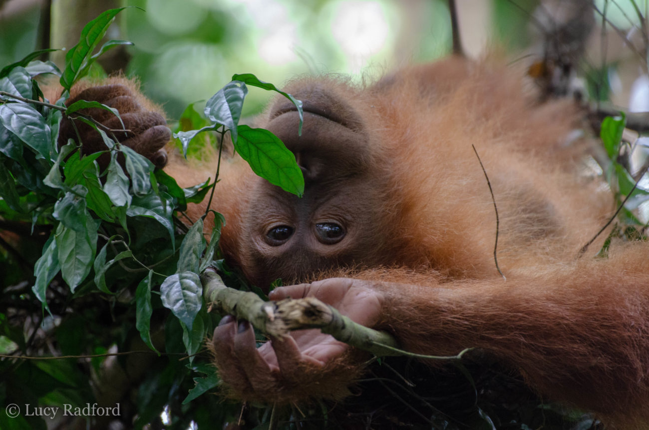 New partner: Nature for Change