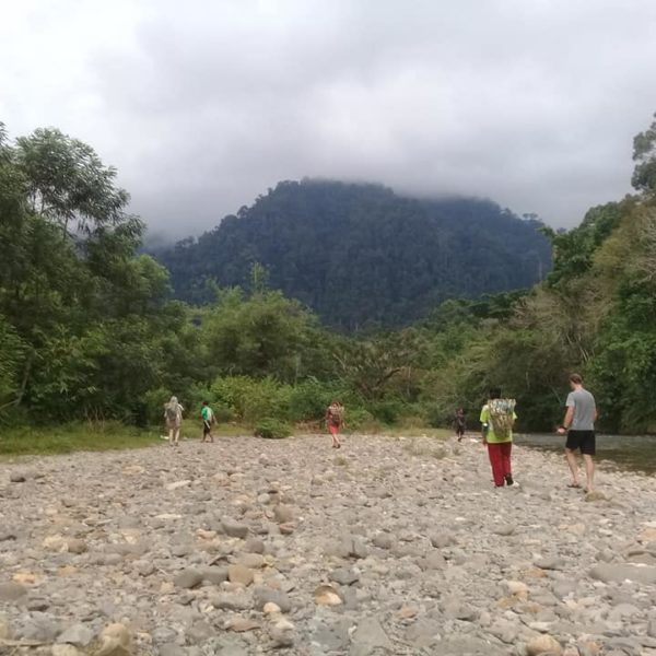 An update from Nature for Change.