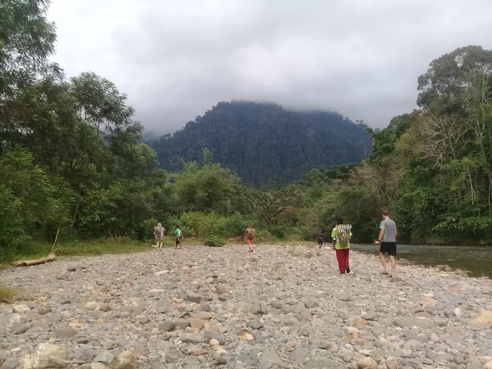 An update from Nature for Change.