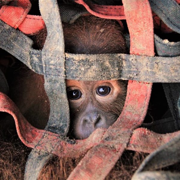 Keep the rescuers on the road.