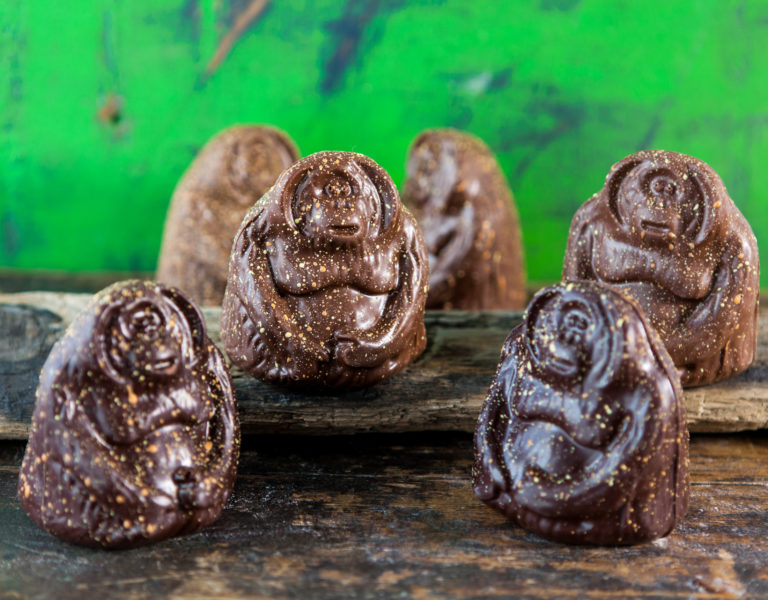 The SOS ethical shopping guide