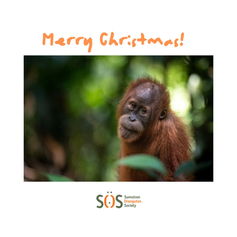 The SOS ethical shopping guide