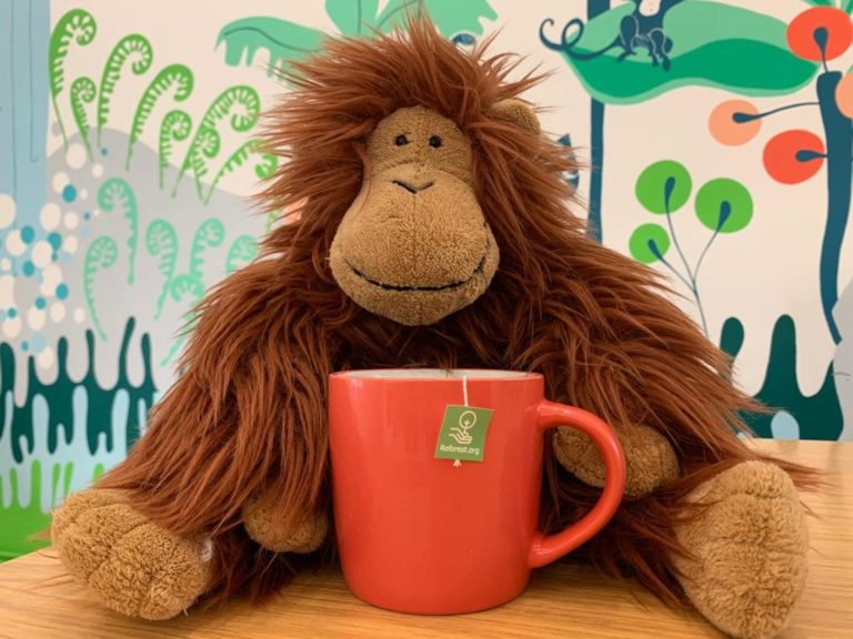 The SOS ethical shopping guide