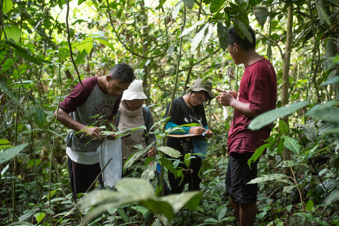 Root Causes: Case Study