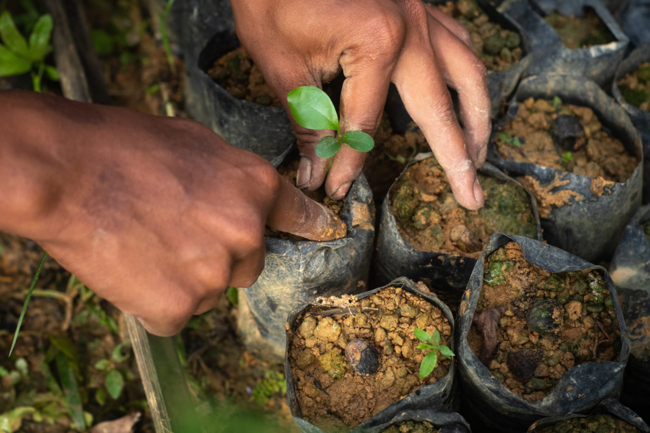 Root Causes: Case Study