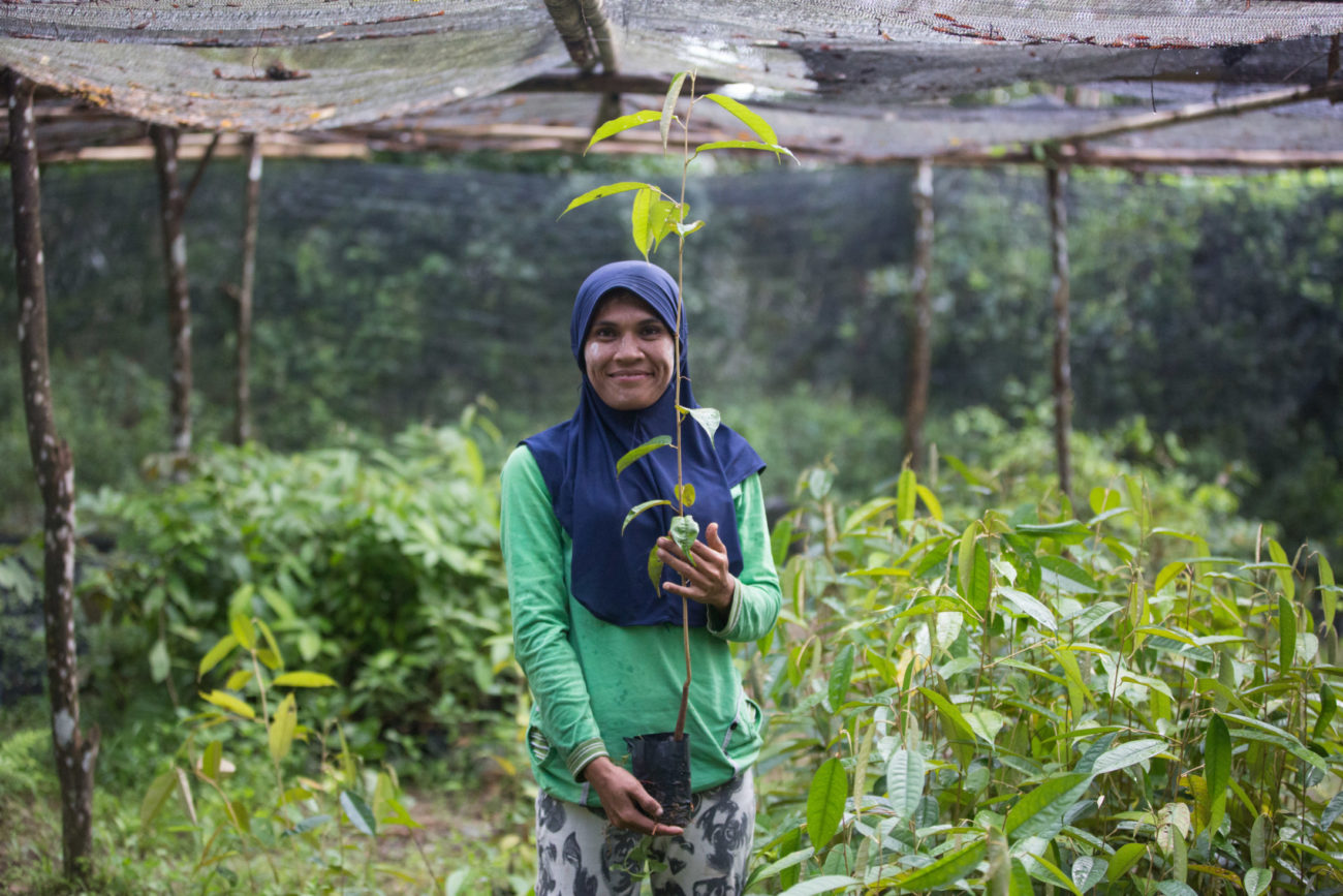 A woman stands surrounded by tree seedlings and holding a tree seedling in her hands. She is smiling.