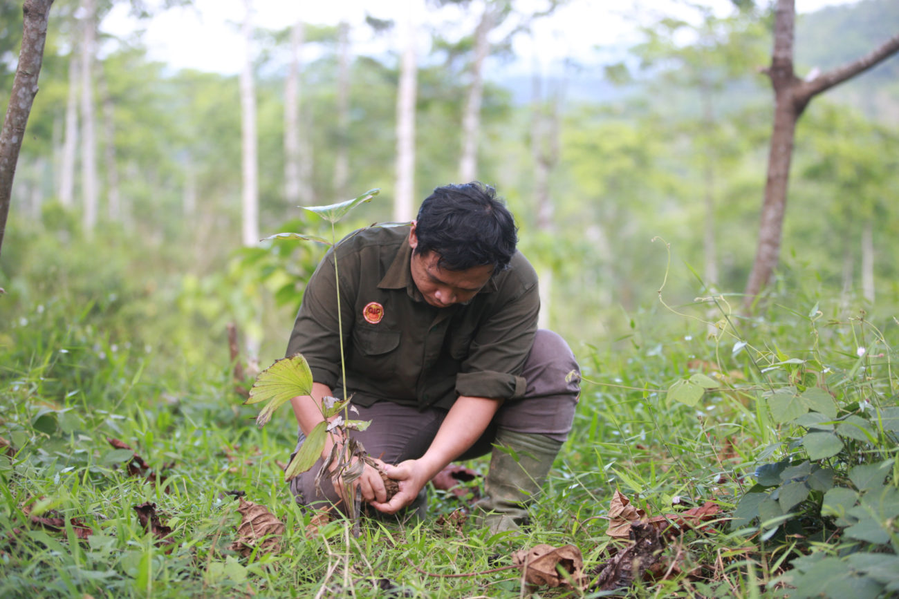 Space To Flourish: Case Study