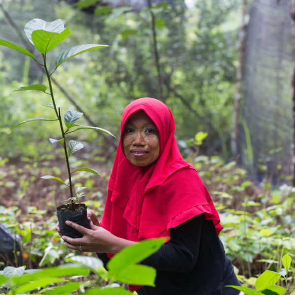 SOS's Highlights of 2021