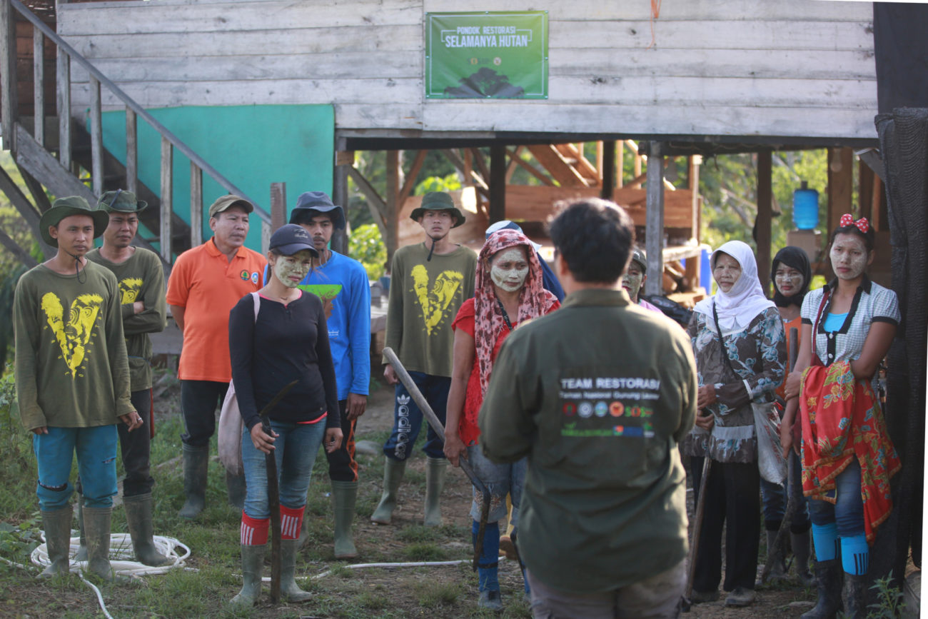 Why orangutan conservation is about people too