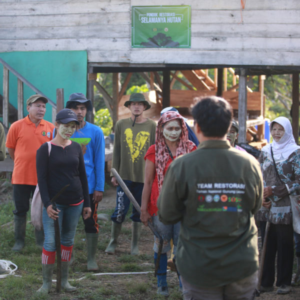 Why orangutan conservation is about people too