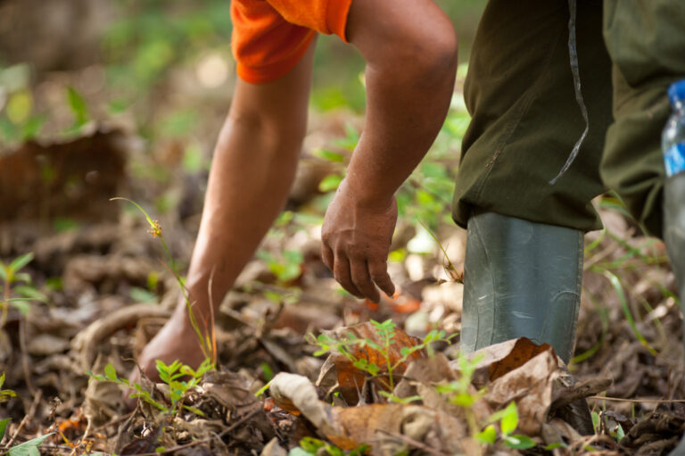 Actions On The Ground