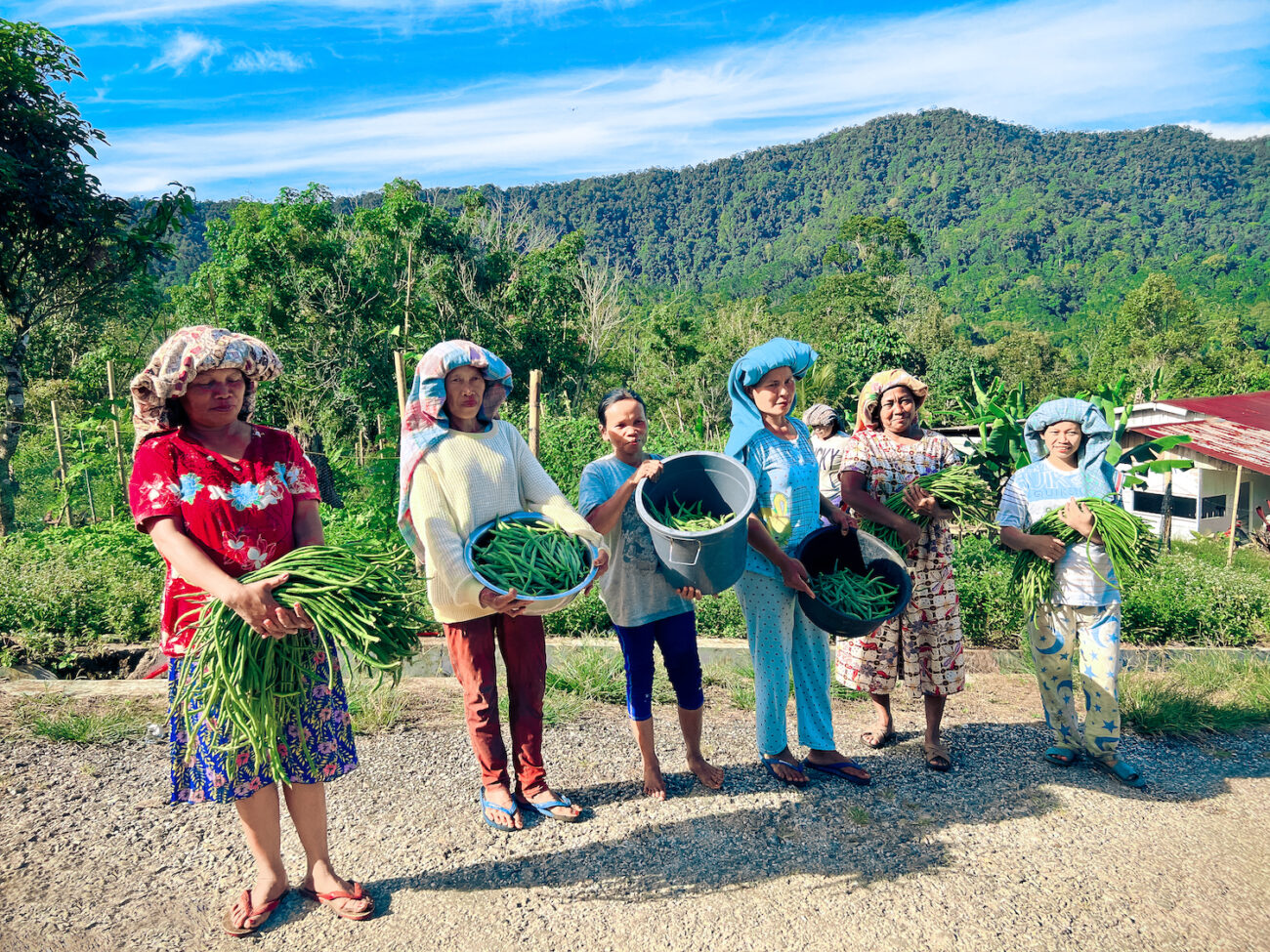 Seeds of Sustainable Development: Case Study