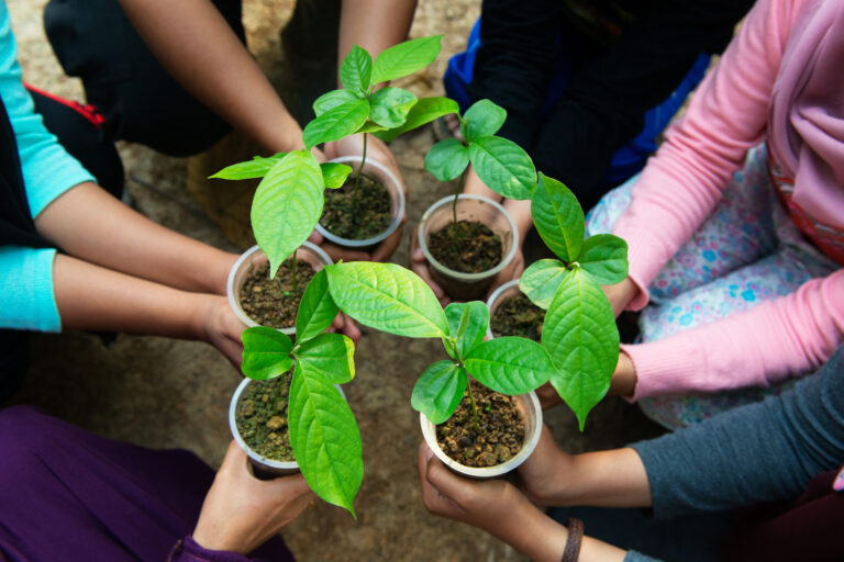 Corporate Partnerships