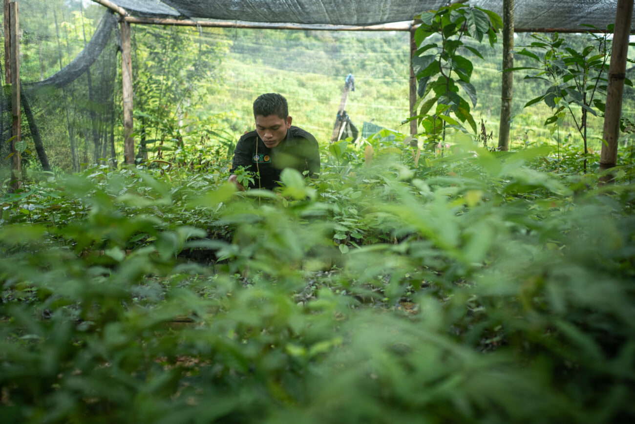 Space To Flourish: Case Study