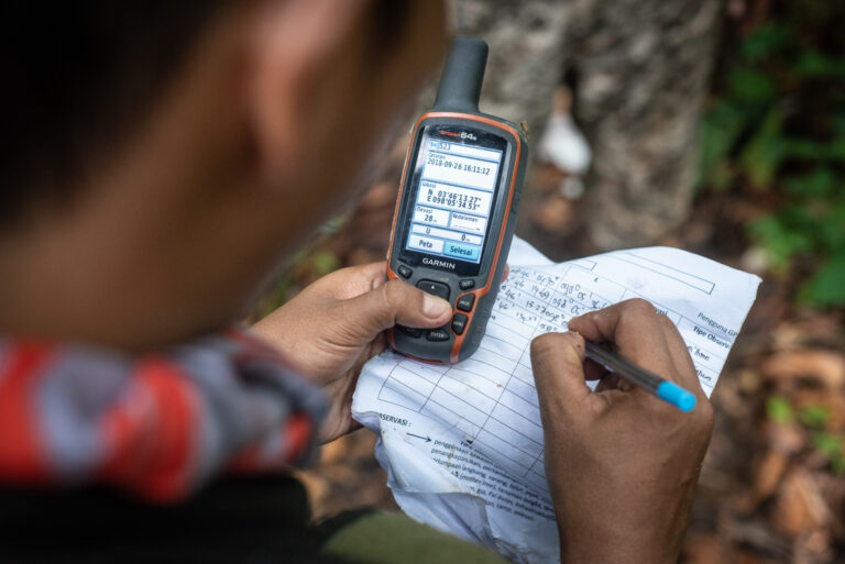 Actions On The Ground