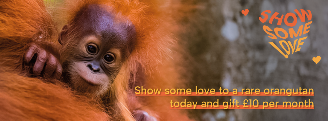 Show Some Love Donate Page