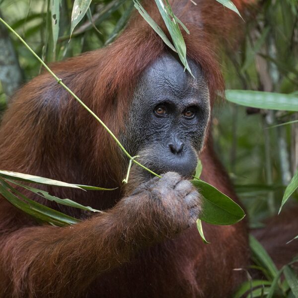 Towards a thriving future