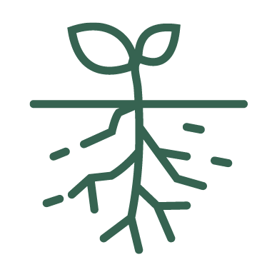 Rewild symbol - a seedling planted in the ground with roots below the surface