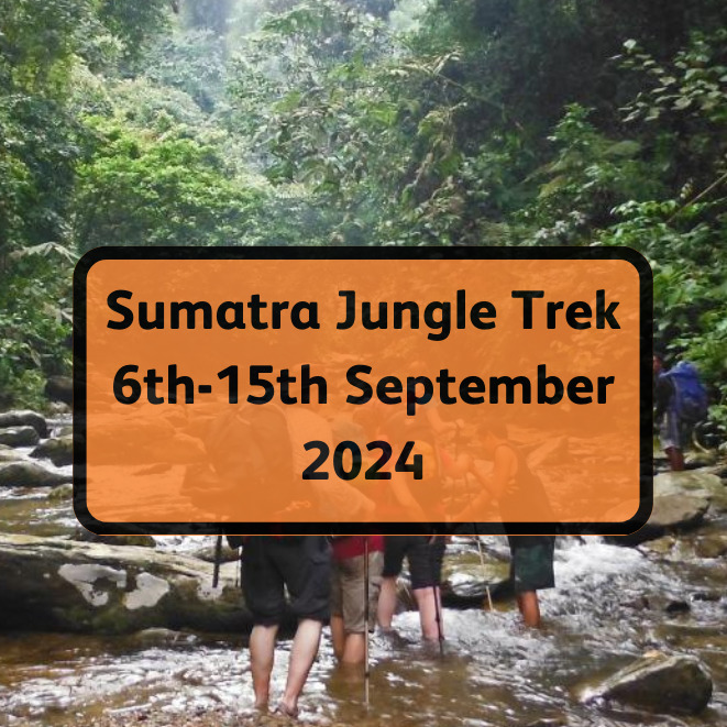 People hiking through a river in a rainforest location. Text overlay reads 'Sumatra Jungle Trek 6th-15th September 2024