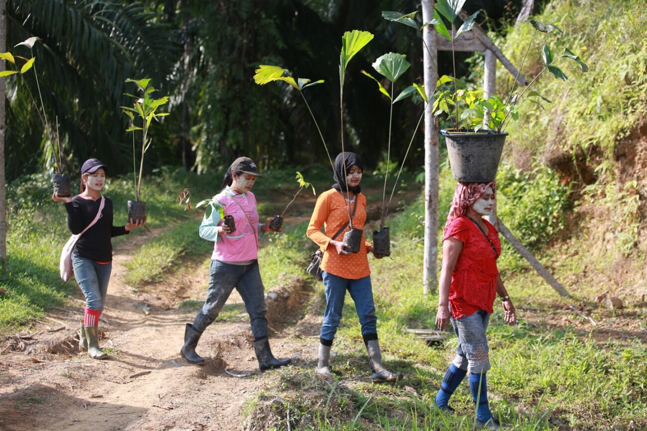 Four women, members of the local community, carry sapling trees to be planted