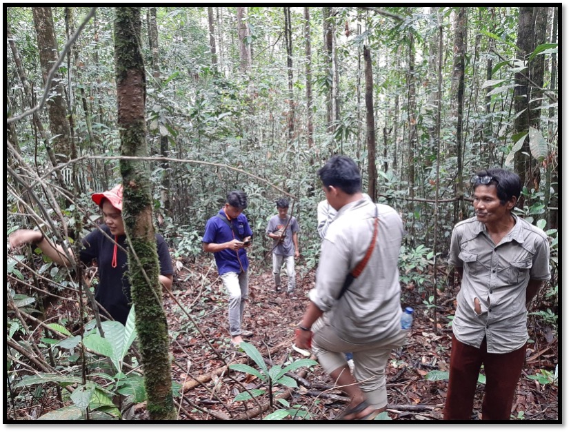 Six people stand in a forest, looking at the species there and entering data on a phone