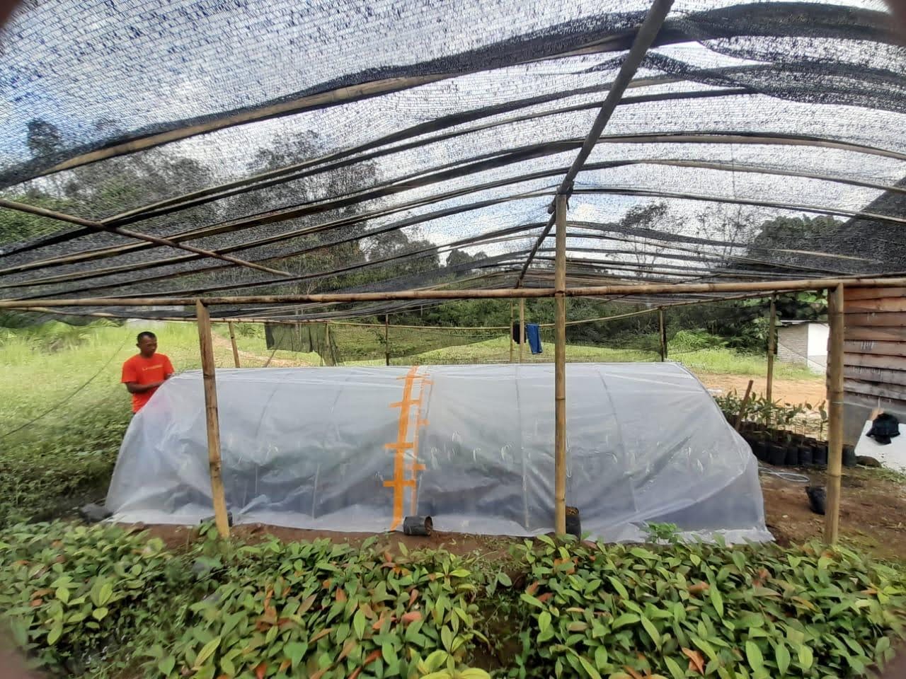 a community member stands beside a polytunnel in a nursery
