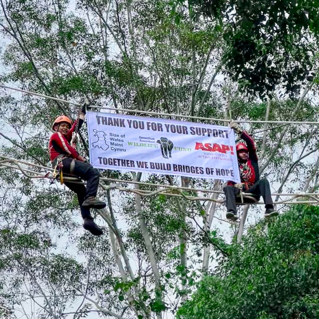 VRI team members sit in a rope bridge holding a banner thanking funders