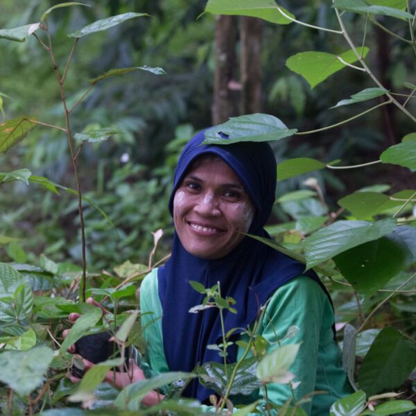 A woman sits among trees at a rewilding site in Sumatra, holding a seedling and smiling at the camera.